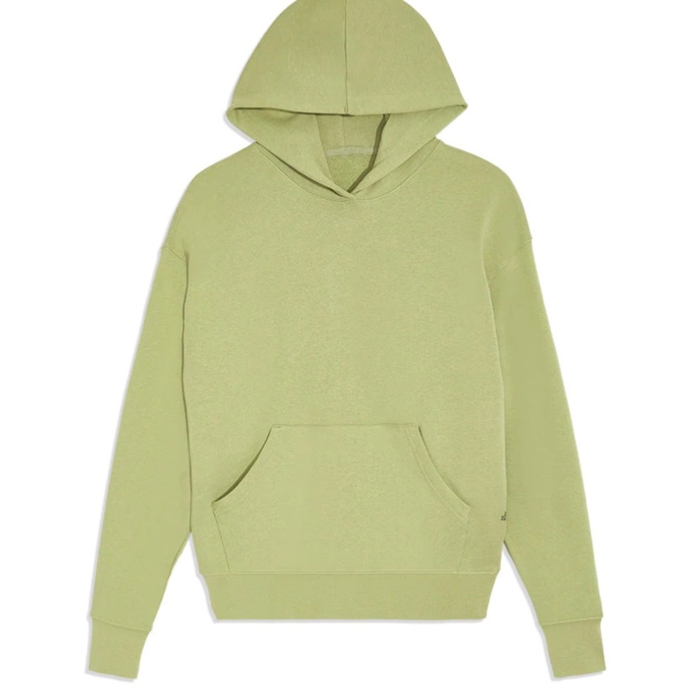 NWT WEWOREWHAT Oversized Hoodie, Sage XL